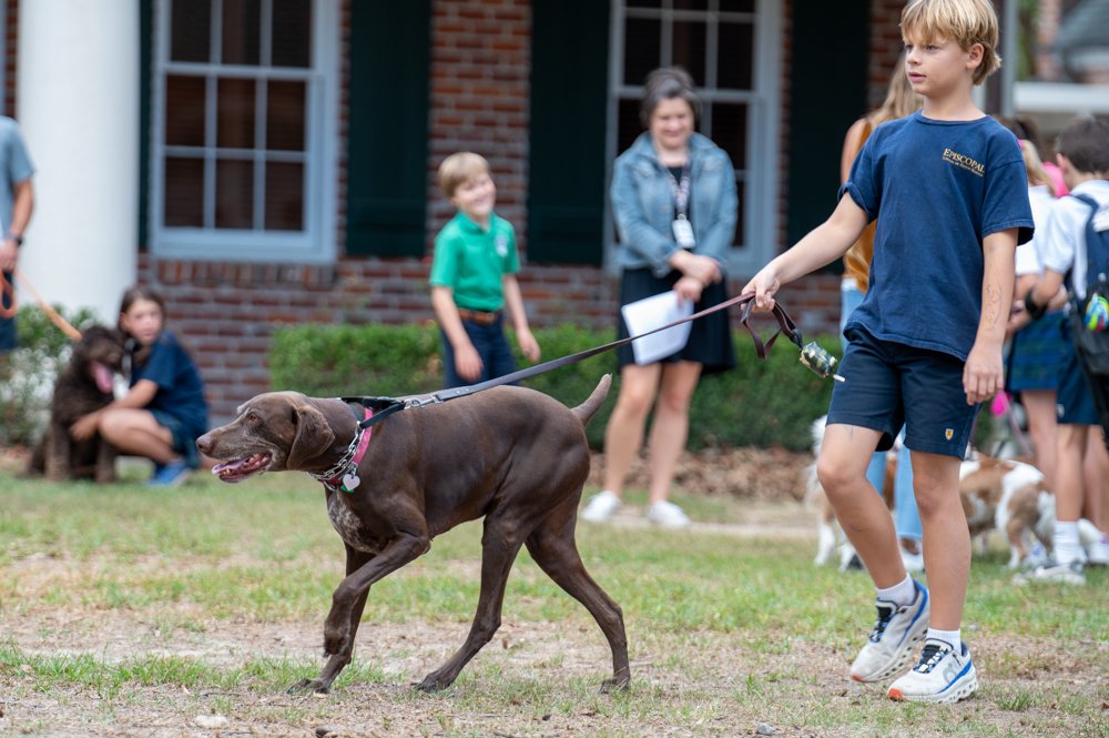 Blessing of the Pets